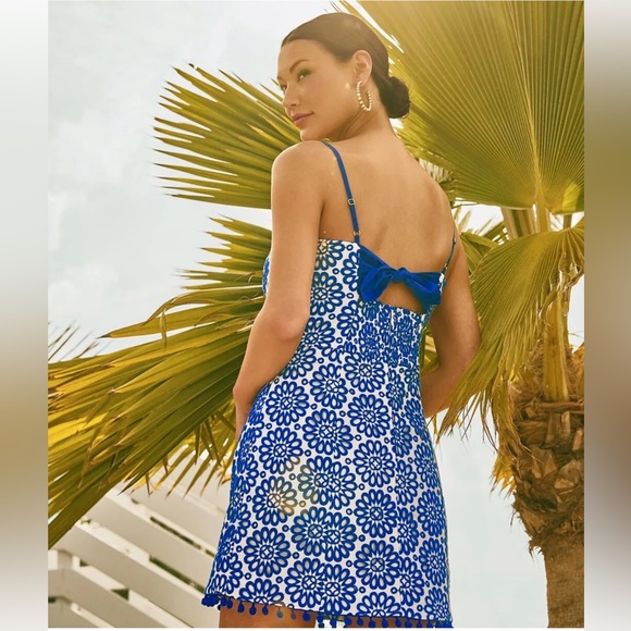 Lilly Pulitzer Dresses & Skirts - Lilly Pulitzer NWT Shelli Dress Blue Grotto Oversized Eyelet $218 Size 2